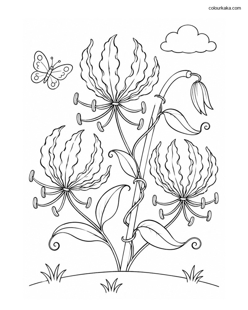 Gloriosa Flower Colouring Page thumbnail