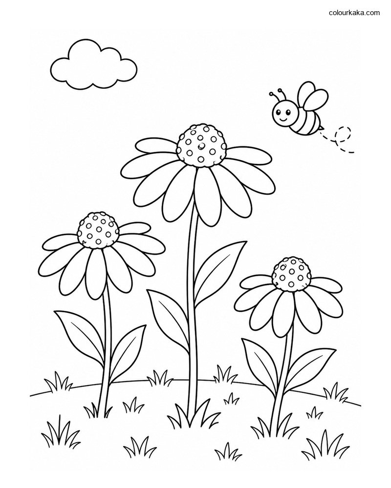 Black-Eyed Susan Colouring thumbnail