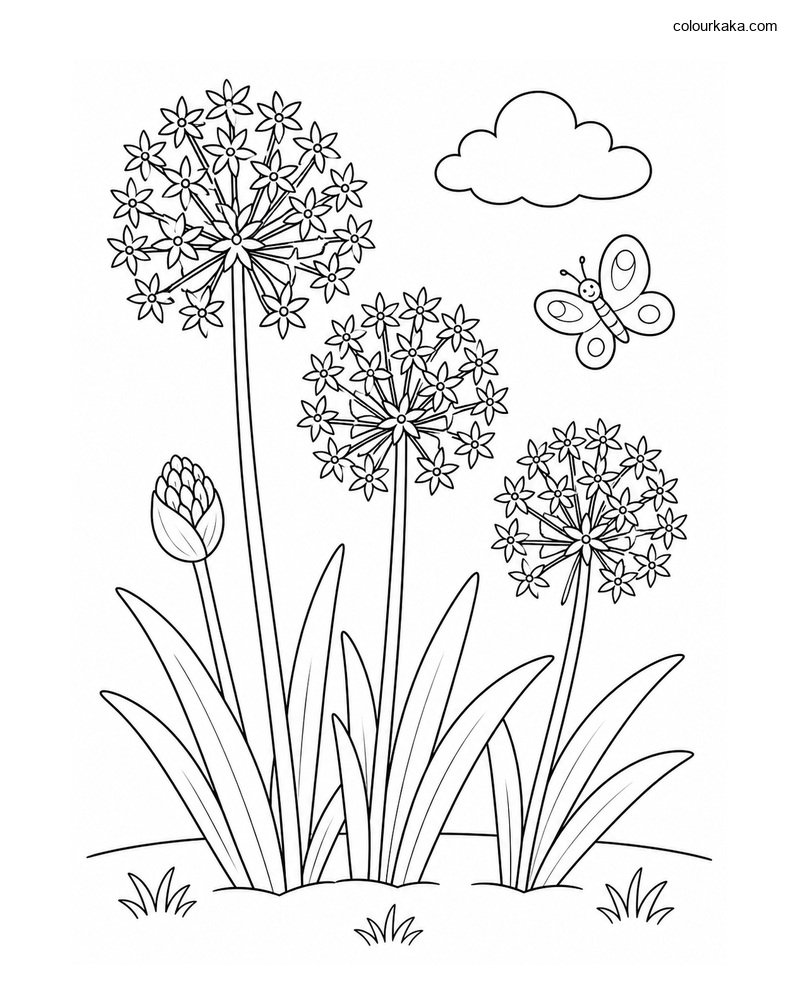 Allium Garden Colouring Page thumbnail
