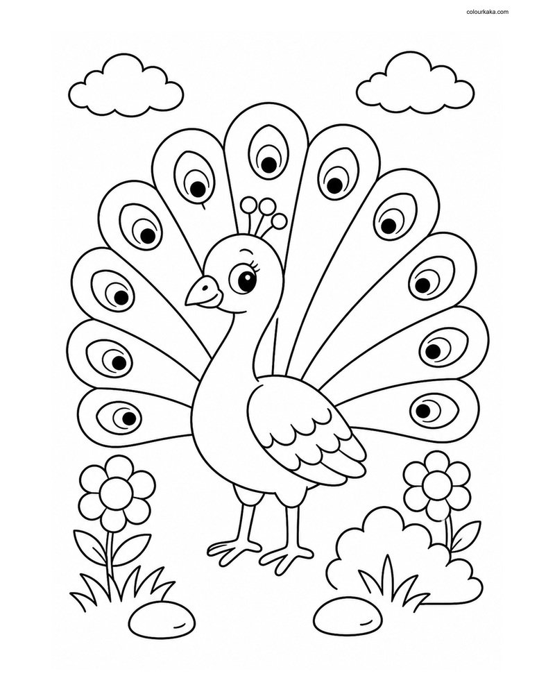 Cute Peacock thumbnail