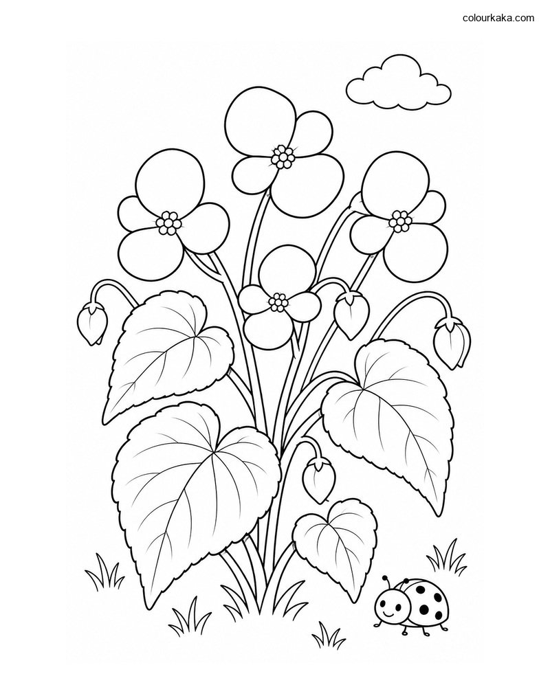 Begonia Flower Colouring Page thumbnail
