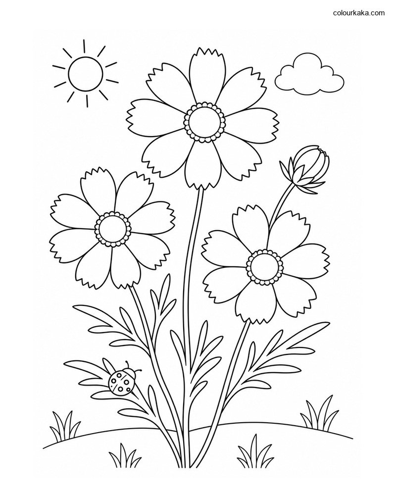 Coreopsis Garden Colouring thumbnail