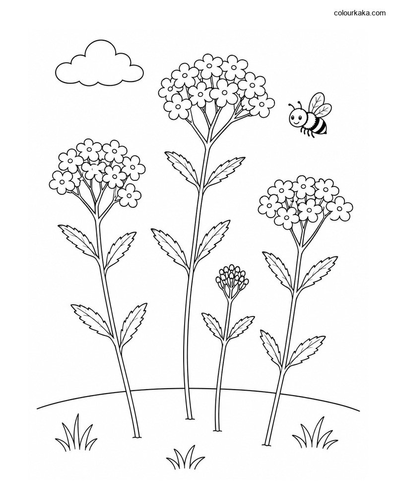 Verbena Meadow Colouring Page thumbnail