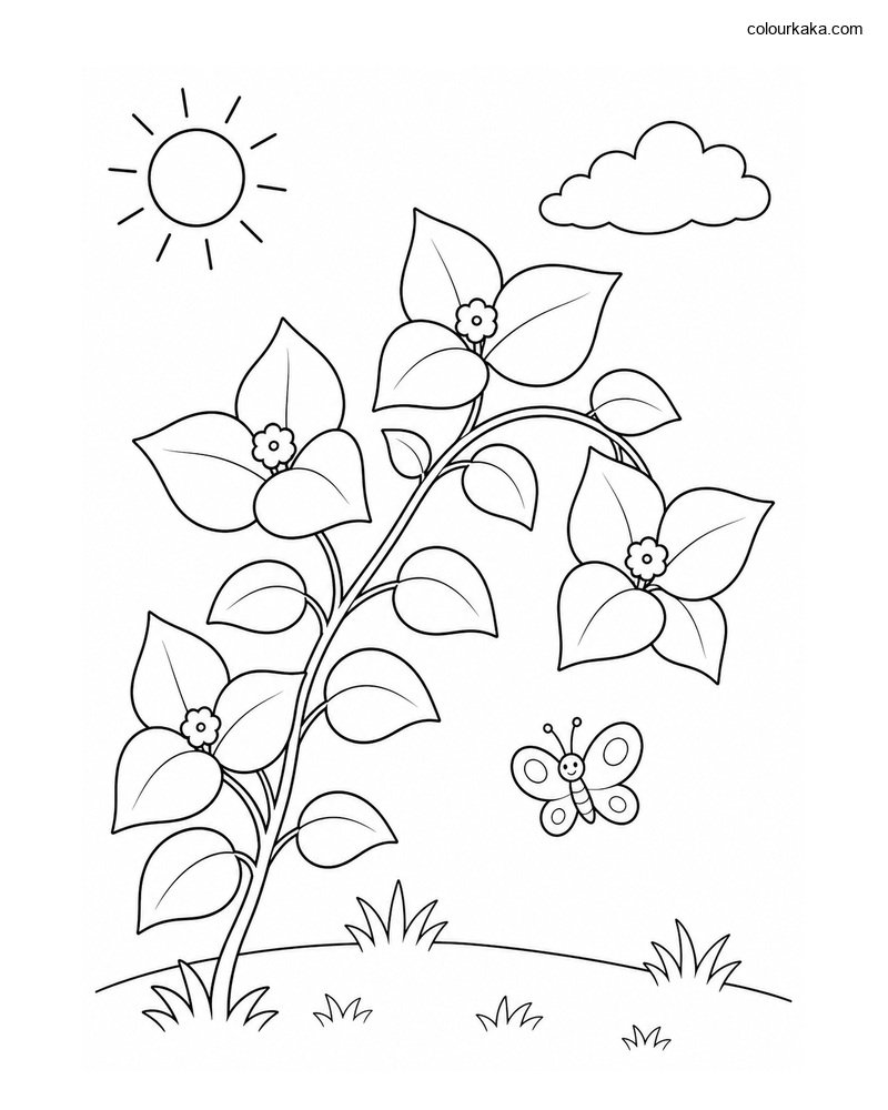Bougainvillea Colouring Page thumbnail