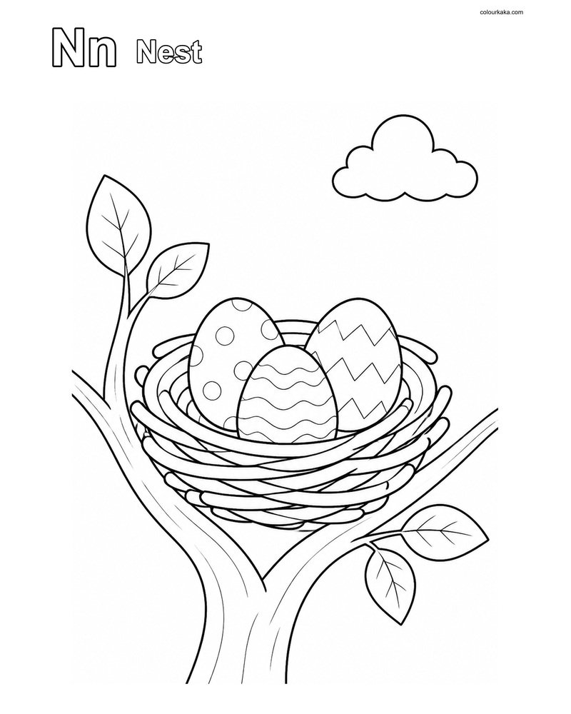 Nn Nest Alphabet Colouring thumbnail