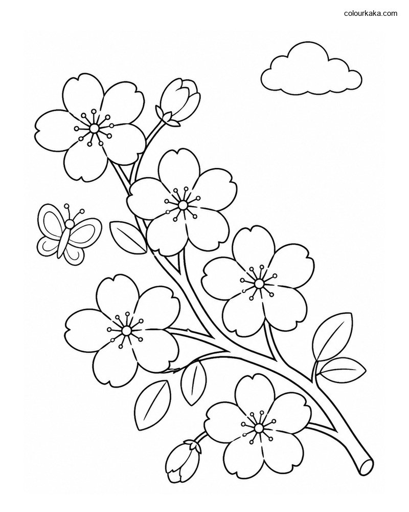 Cherry Blossom Colouring Page thumbnail