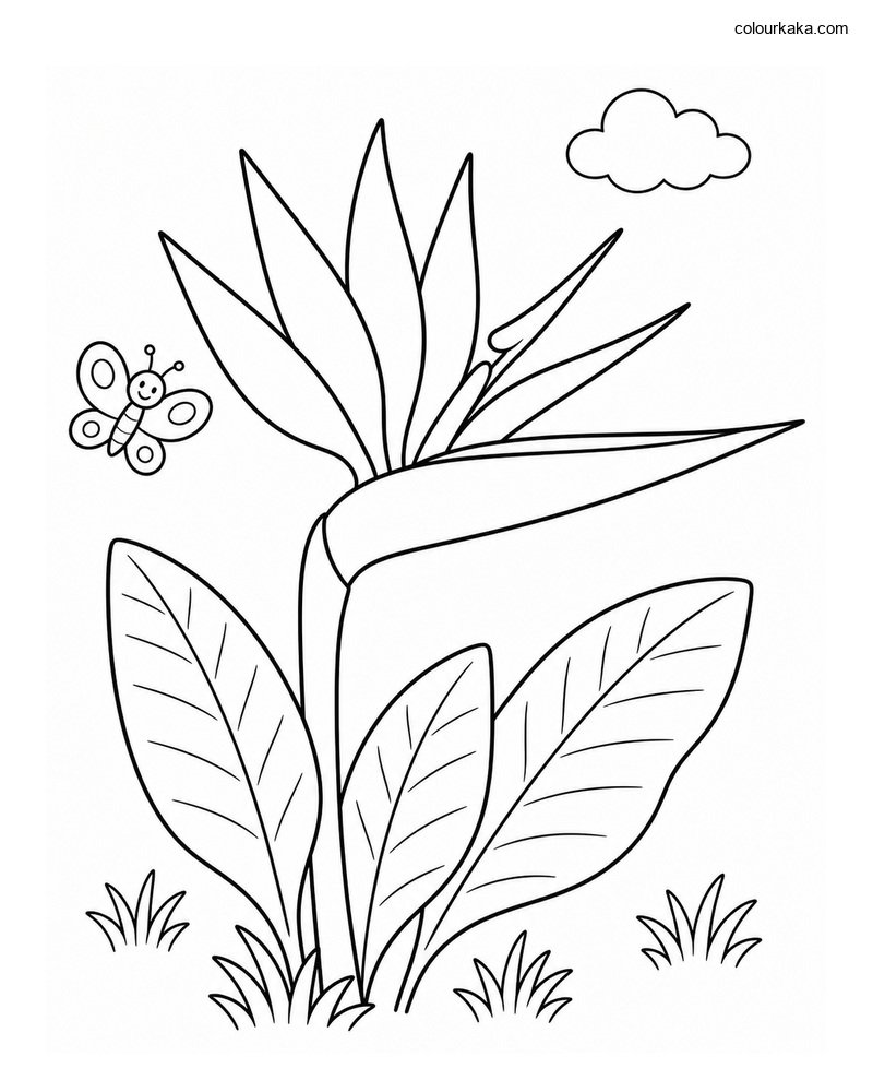 Bird of Paradise Colouring thumbnail