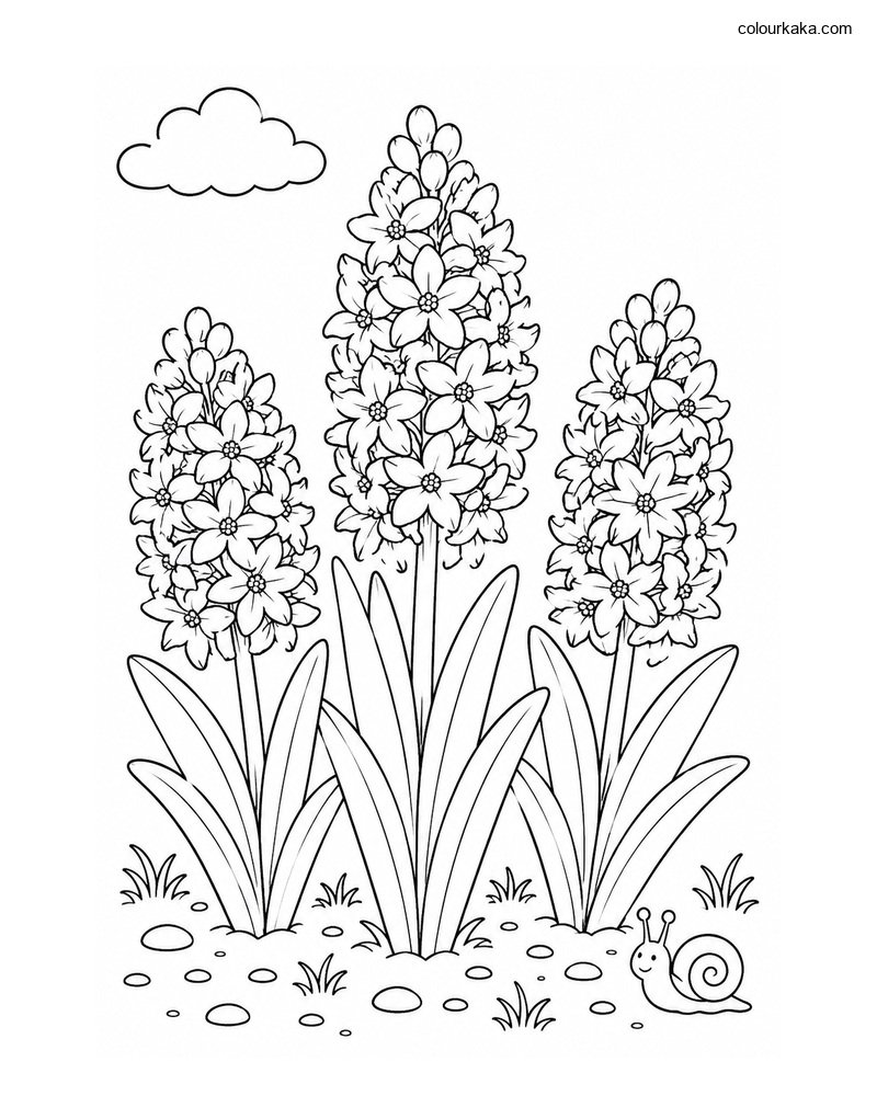 Hyacinth Flower Colouring Page thumbnail