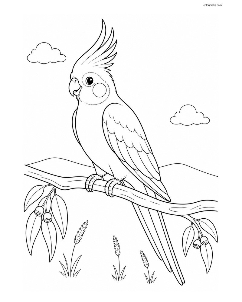 Cockatiel Colouring Design thumbnail