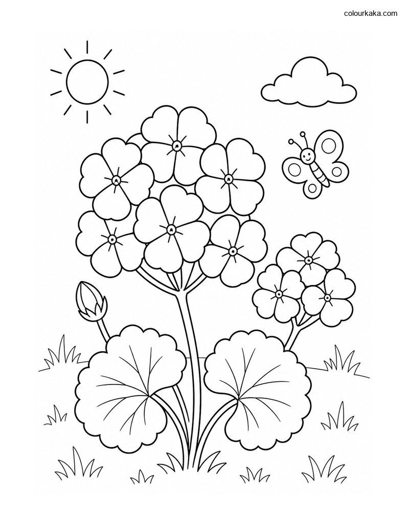 Geranium Garden Colouring Page thumbnail