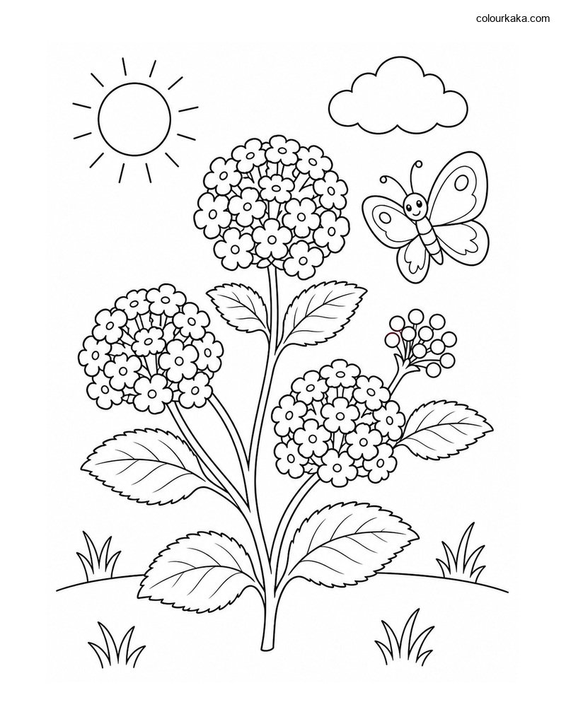 Lantana Flower Colouring Page thumbnail