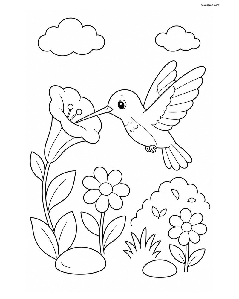 Cute Hummingbird thumbnail