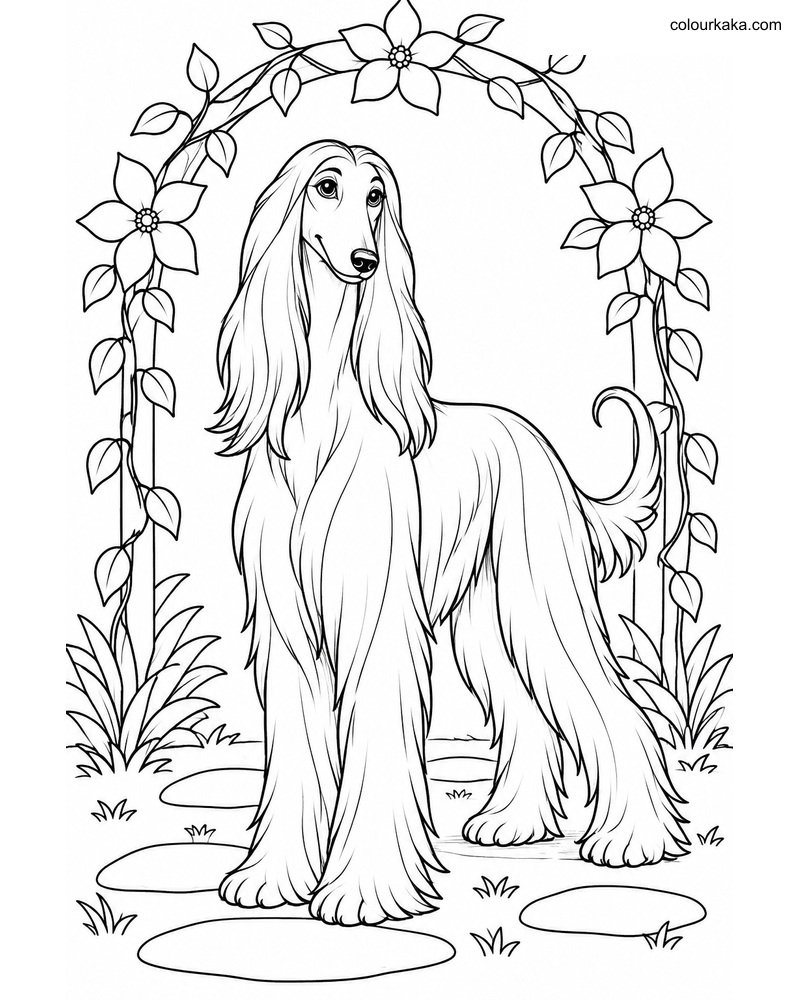 Afghan Hound Colouring Sheet thumbnail