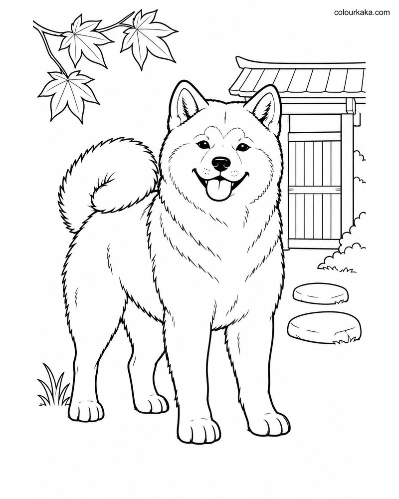 Akita Dog Colouring Page thumbnail