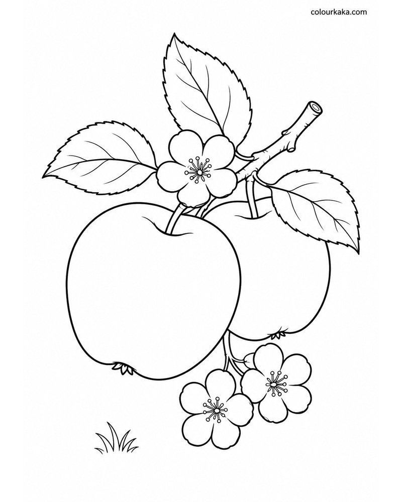 Apple Orchard Colouring Page thumbnail