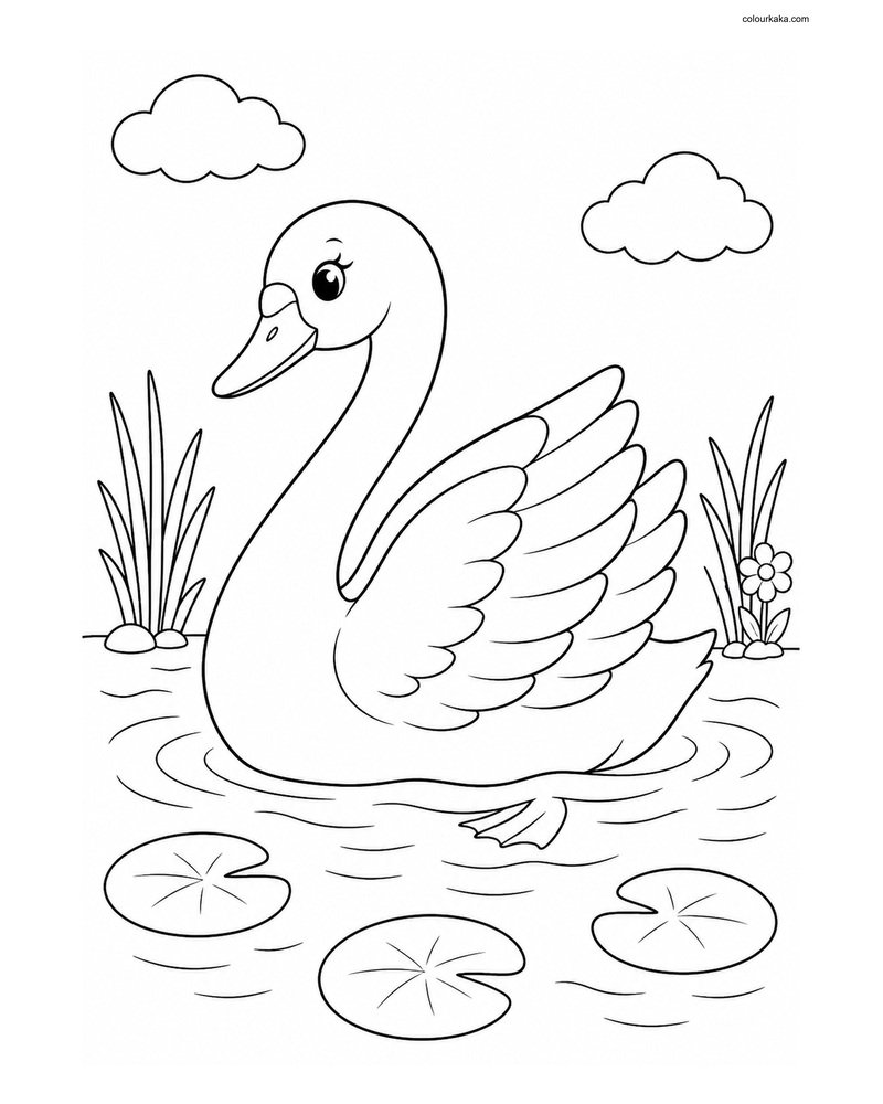 Cute Swan thumbnail