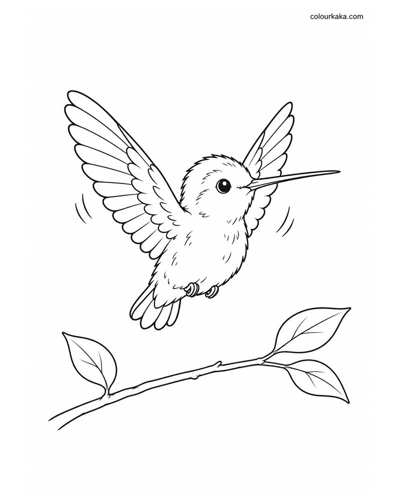 Baby Hummingbird Learning to Fly thumbnail