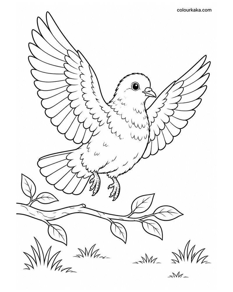 Baby Pigeon Learning to Fly Colouring Page thumbnail