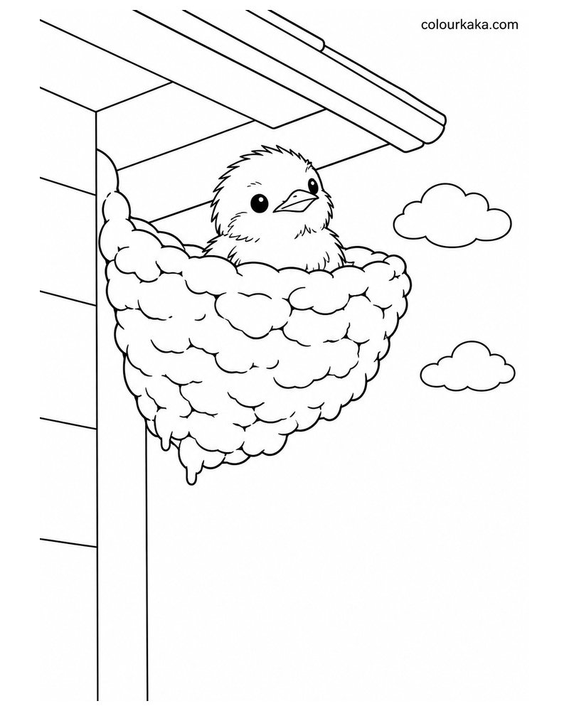Baby Swallow Peeking Out of the Nest Colouring Page thumbnail