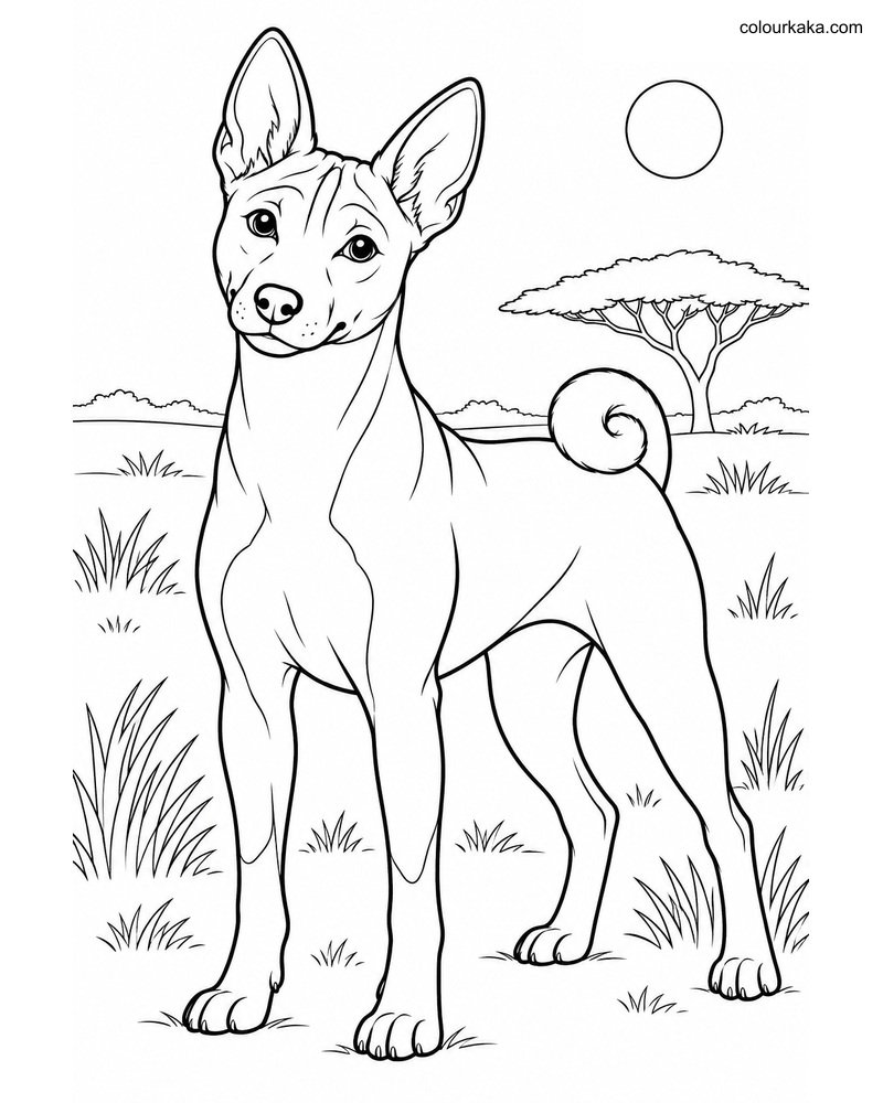 Basenji Dog Colouring Page thumbnail