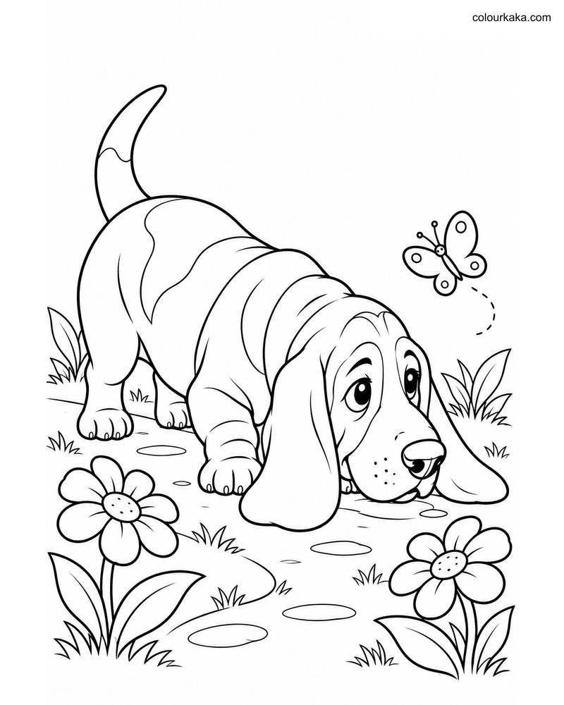 Basset Hound Colouring Sheet thumbnail
