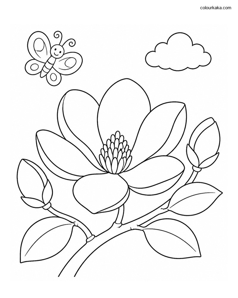 Magnolia Blossom Colouring thumbnail