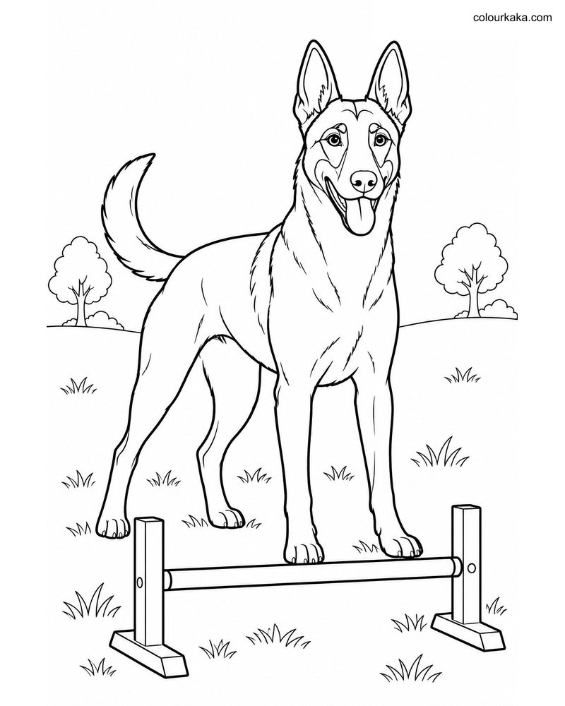Belgian Malinois Colouring thumbnail