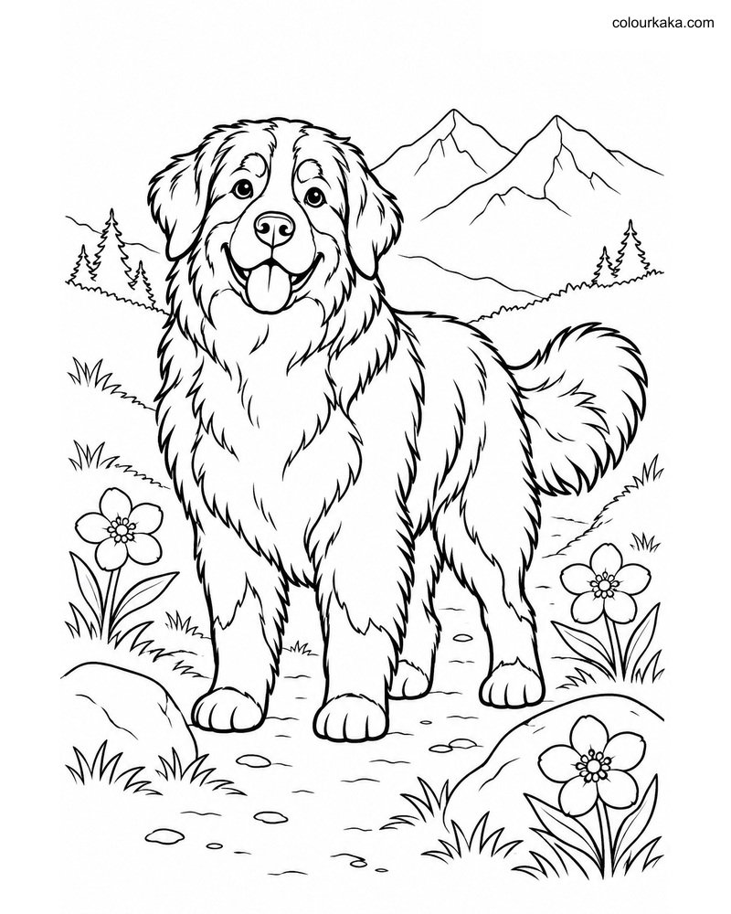 Bernese Mountain Dog Page thumbnail