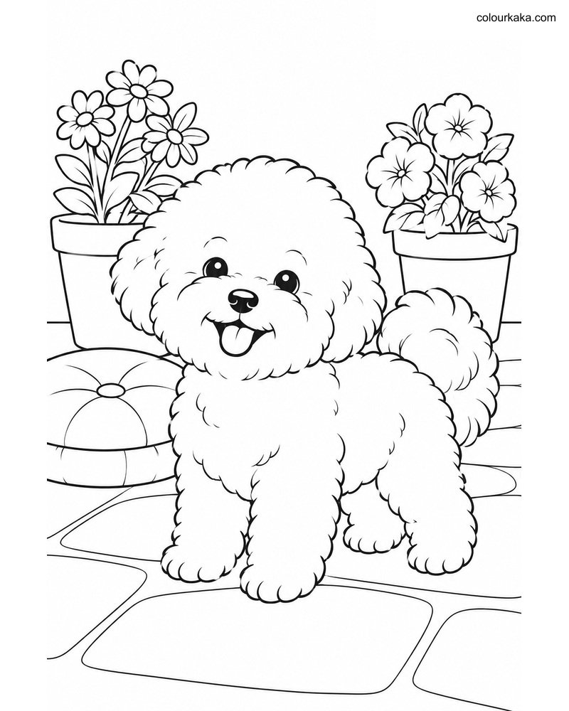 Bichon Frise Colouring Page thumbnail