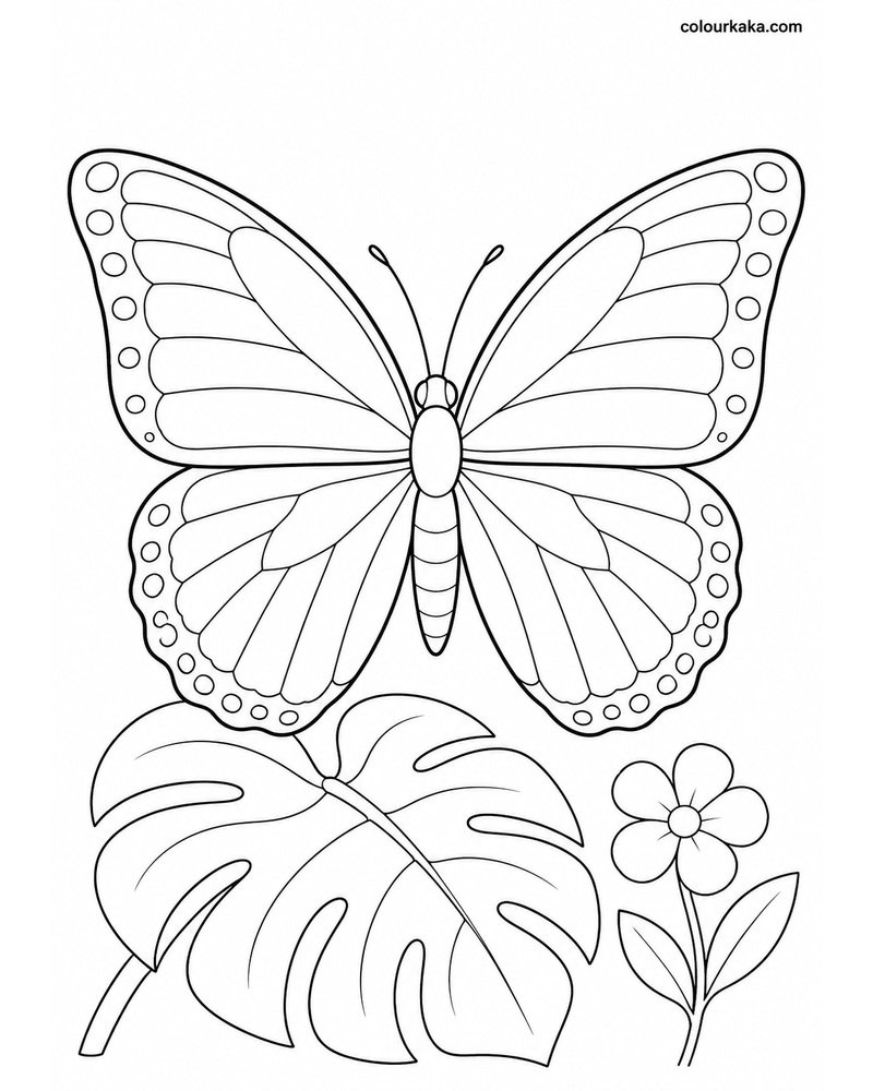 Blue Morpho Butterfly Colouring thumbnail