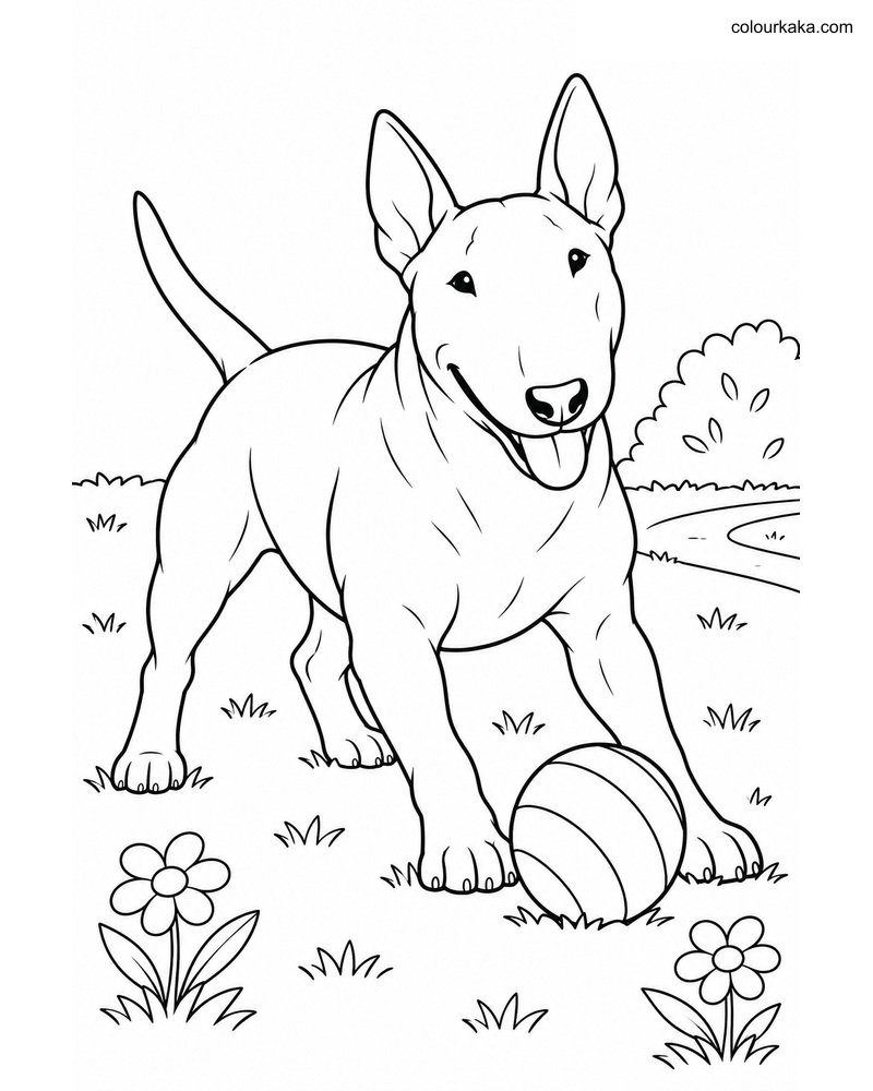 Bull Terrier Colouring Page thumbnail