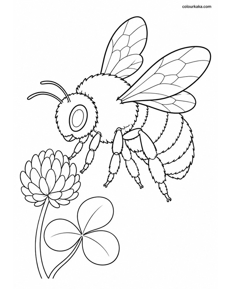 Bumblebee Meadow Colouring thumbnail