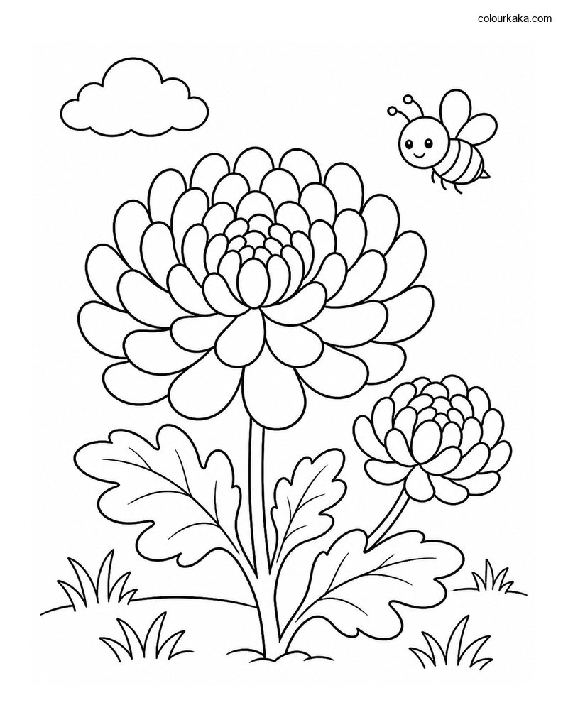 Chrysanthemum Colouring Page thumbnail