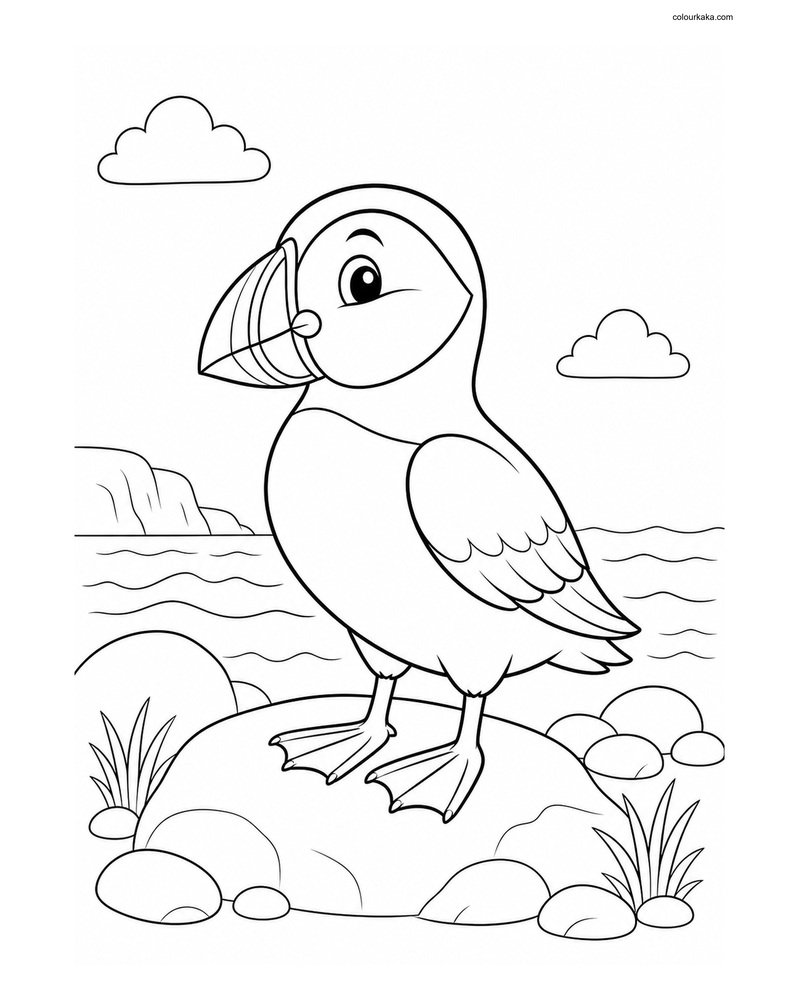 Cute Atlantic Puffin thumbnail