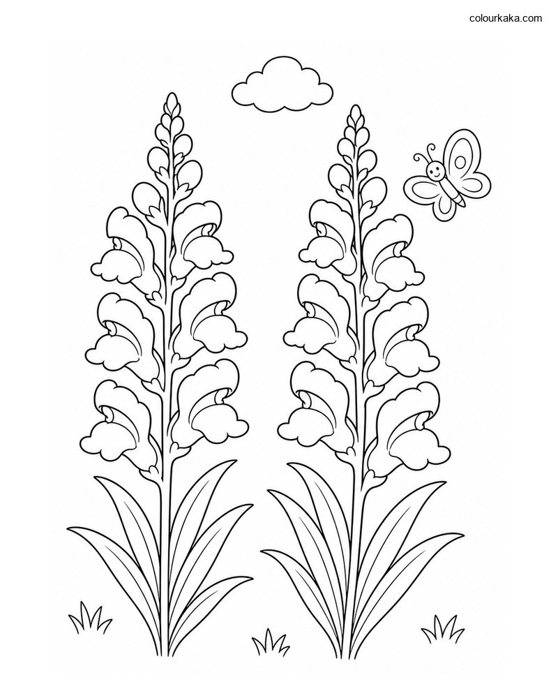 Snapdragon Garden Colouring thumbnail