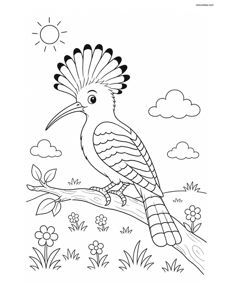 Hoopoe Bird Colouring Page for Kids thumbnail