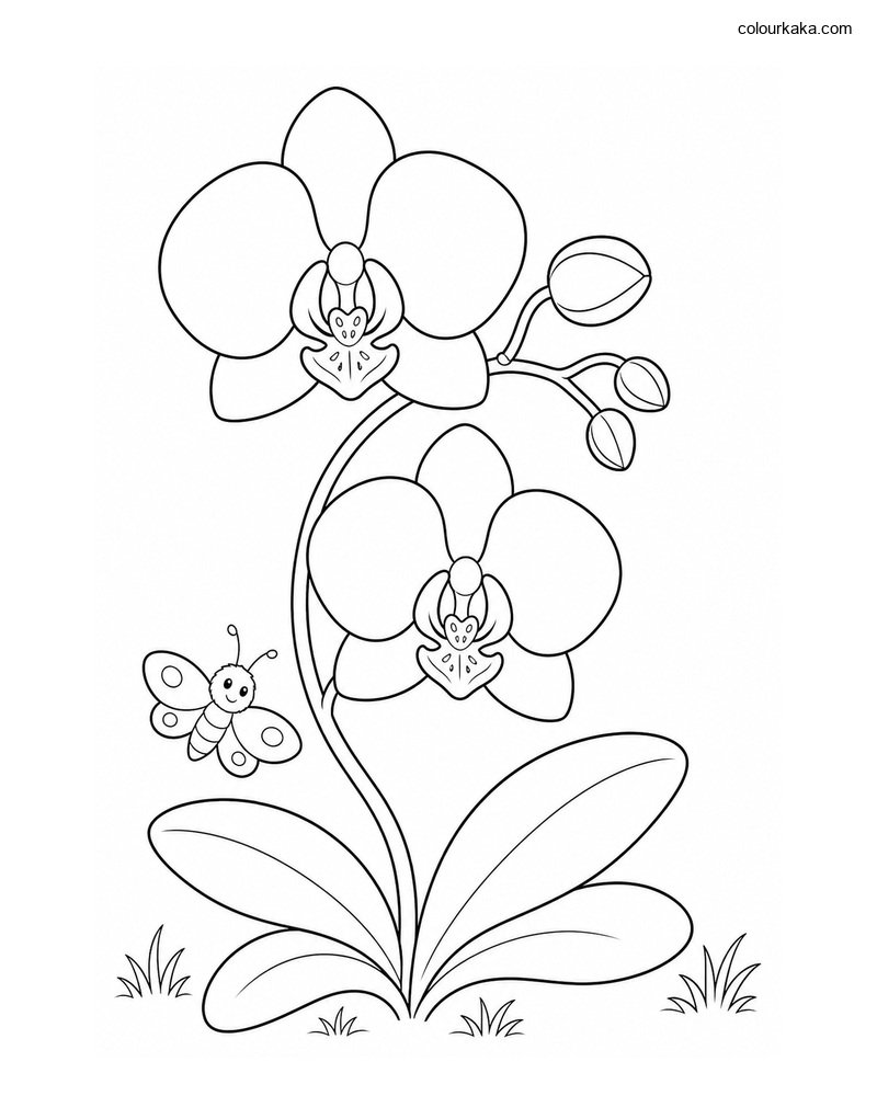 Orchid Flower Colouring Page thumbnail