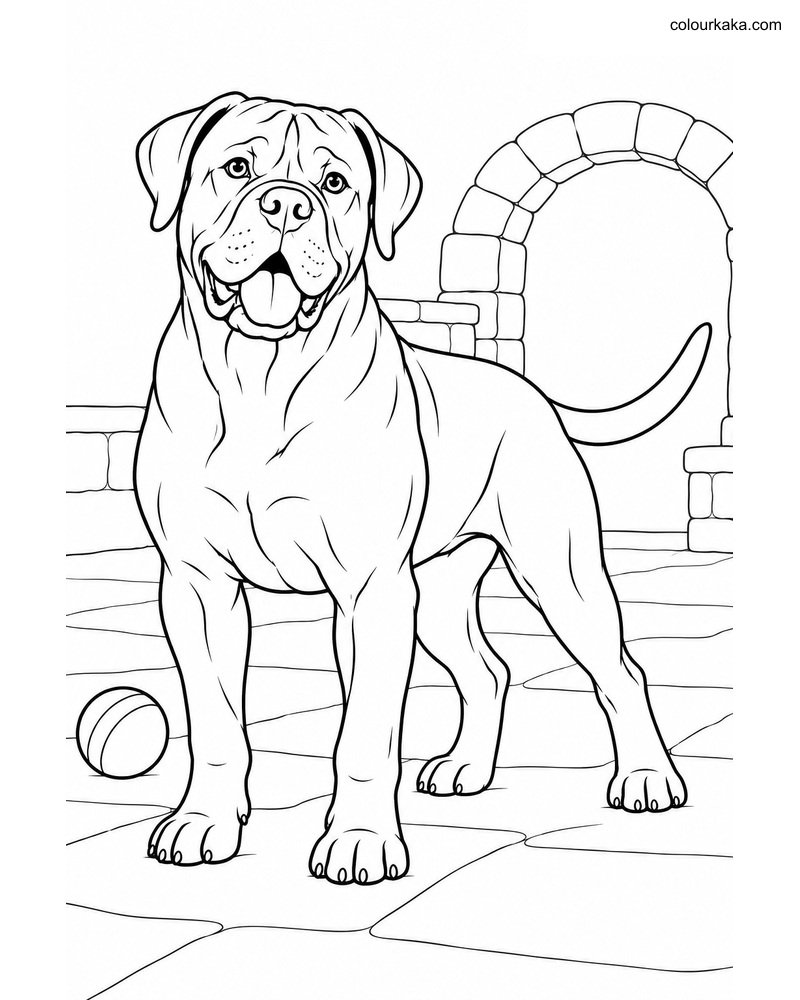 Cane Corso Colouring Page thumbnail