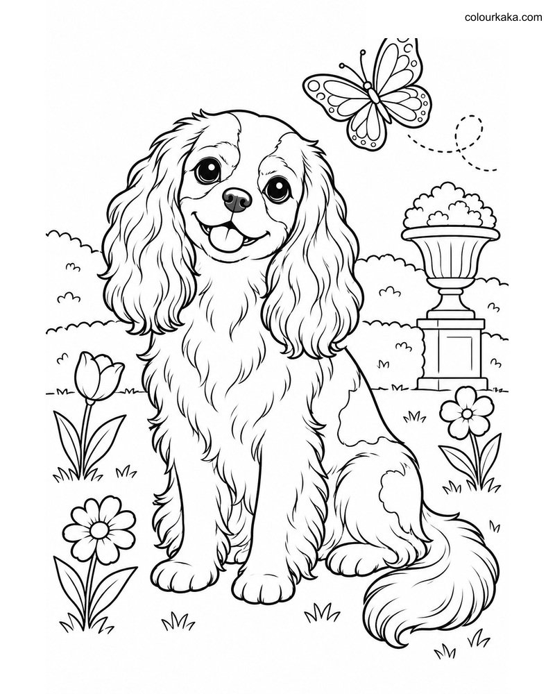 Cavalier Spaniel Colouring thumbnail