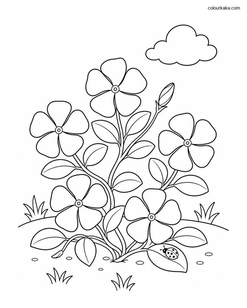 Periwinkle Flower Colouring thumbnail