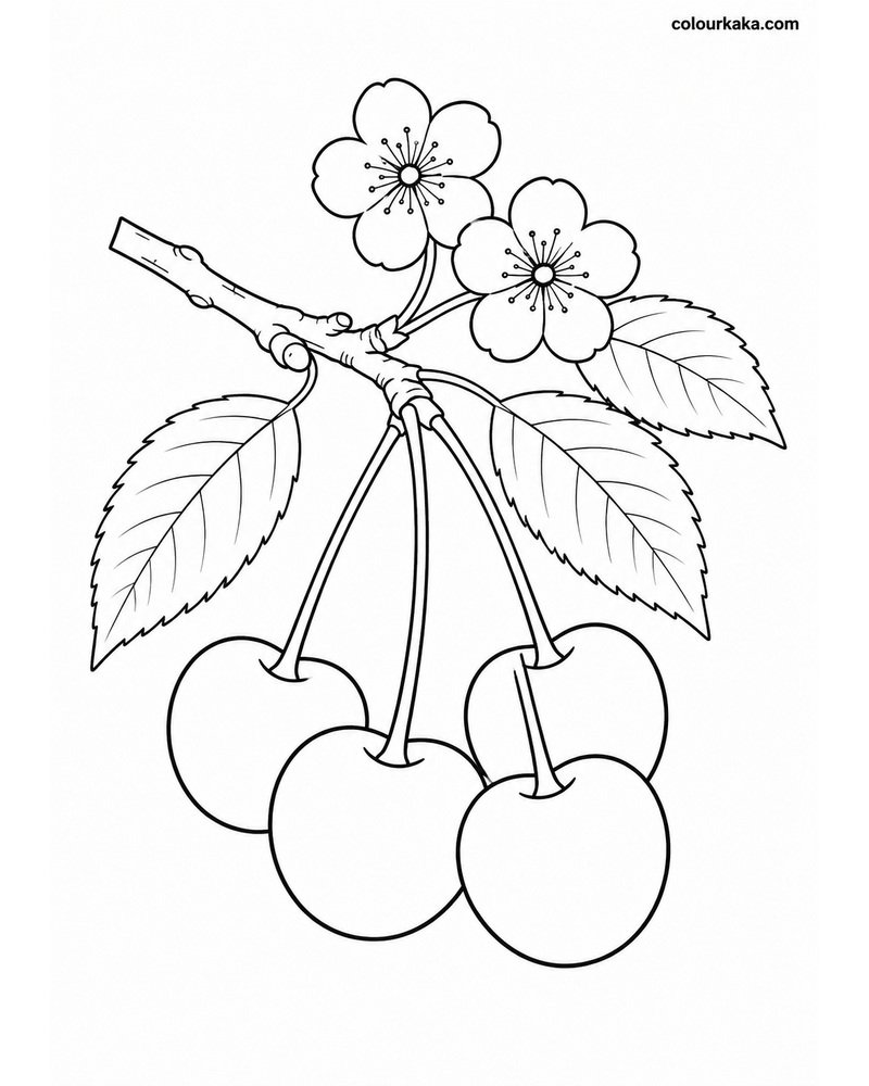 Cherry Blossom Colouring Sheet thumbnail