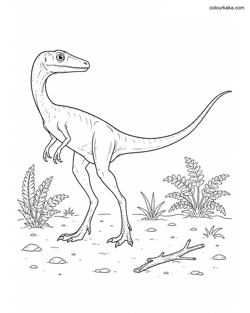 Compsognathus Colouring Page thumbnail