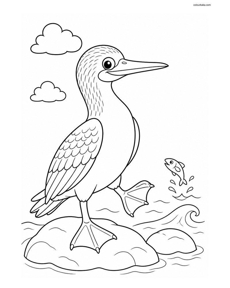 Blue-Footed Booby Coloring Sheet thumbnail