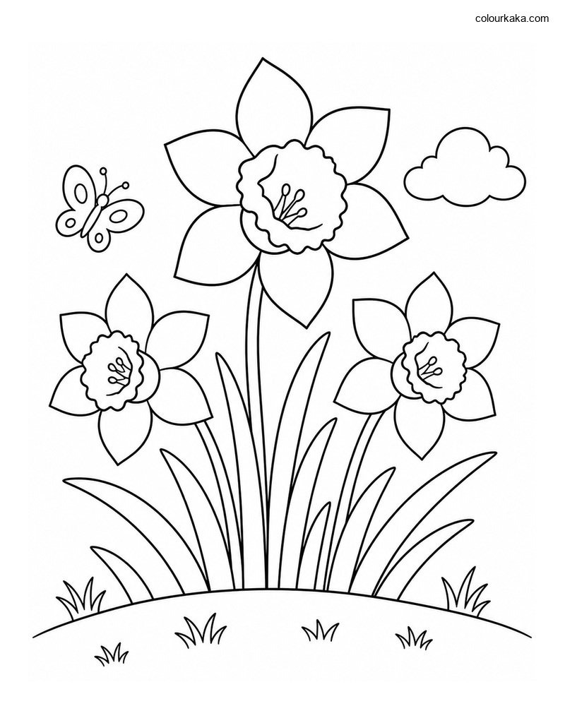 Daffodil Spring Colouring thumbnail