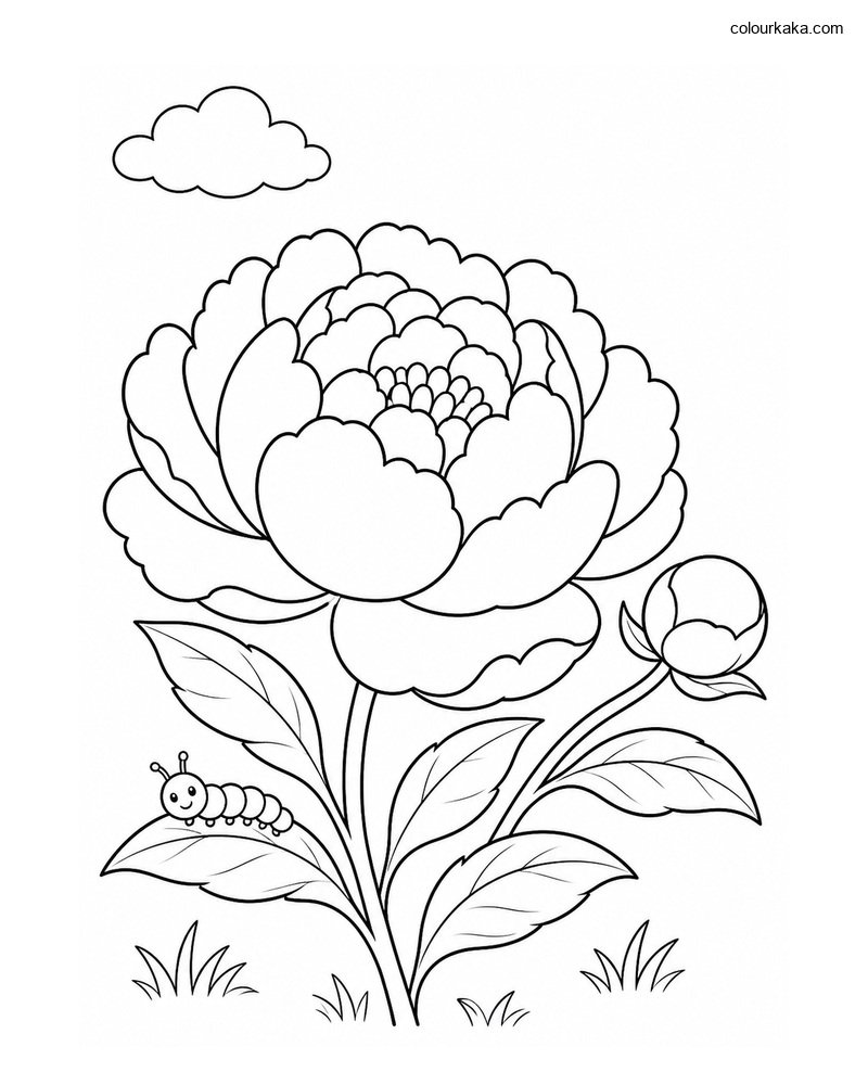 Peony Garden Colouring Sheet thumbnail