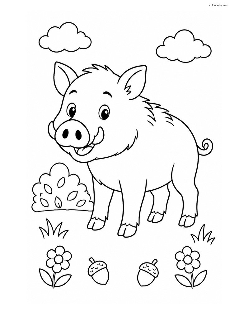Cute Wild Boar thumbnail