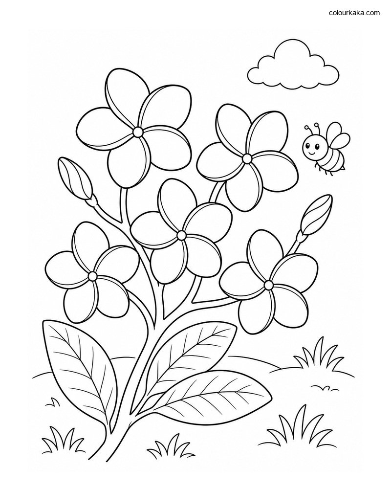 Plumeria Flower Colouring Page thumbnail