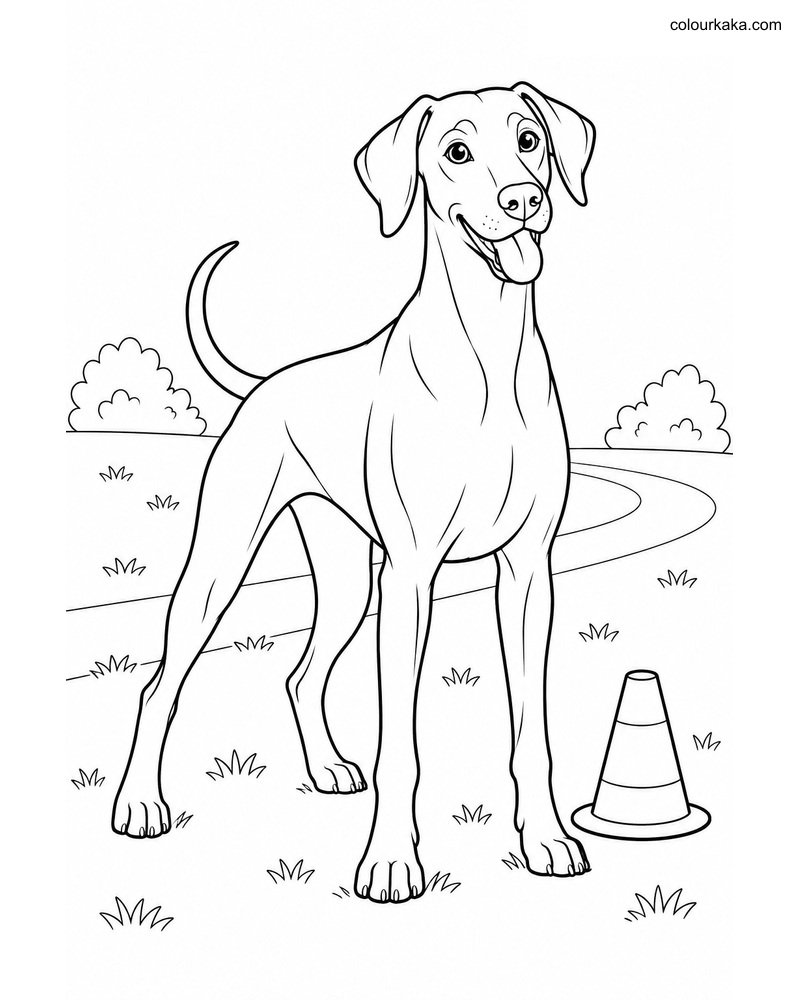 Doberman Pinscher Colouring thumbnail