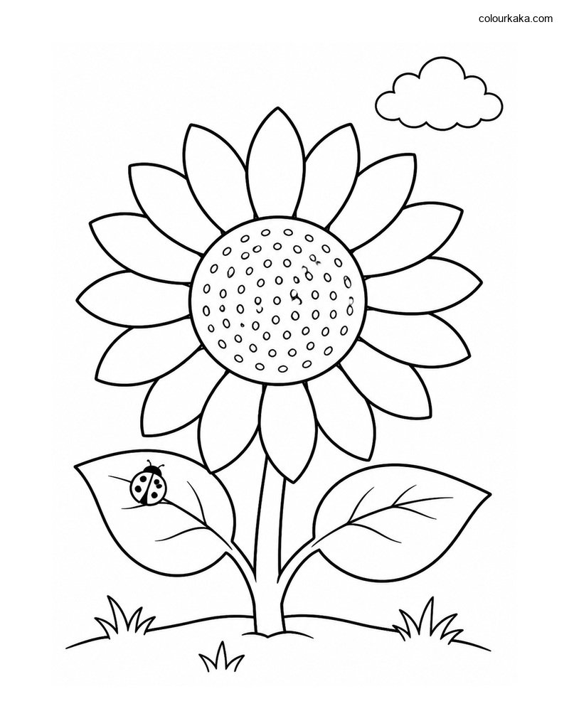 Sunflower Garden Colouring thumbnail