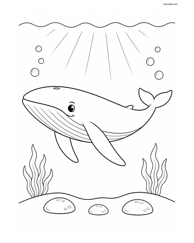 Gentle Blue Whale Colouring Page thumbnail